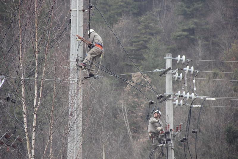 陜西地電留壩供電分公司：實施農石線、索道線分網改造