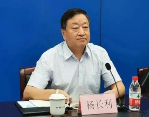任職總經(jīng)理半年后，楊長利任中廣核董事長