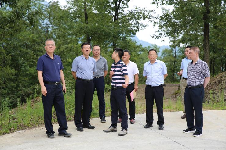 中國能建總經(jīng)理、黨委副書記孫洪水一行赴陜西鎮(zhèn)巴縣調(diào)研定點扶貧工作