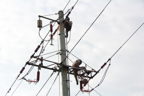 國網(wǎng)霞浦供電公司加裝線路避雷器，保障兩節(jié)期間電網(wǎng)可靠性