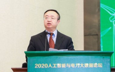 國(guó)家電網(wǎng)有限公司大數(shù)據(jù)中心主任、黨委副書記 王繼業(yè)：激活電力大數(shù)據(jù)價(jià)值 落實(shí)公司碳達(dá)峰碳中和行動(dòng)方案