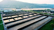 不用燒、不用填 生物處理技術(shù)出手，垃圾成資源