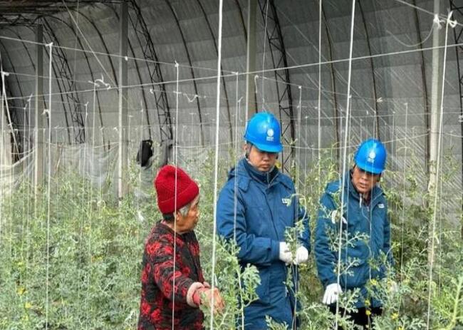 山東惠民供電公司：走訪種植大棚，優(yōu)化農(nóng)業(yè)營(yíng)商環(huán)境