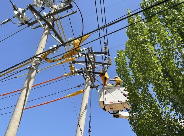 帶電作業(yè)除隱患，安全供電有保障