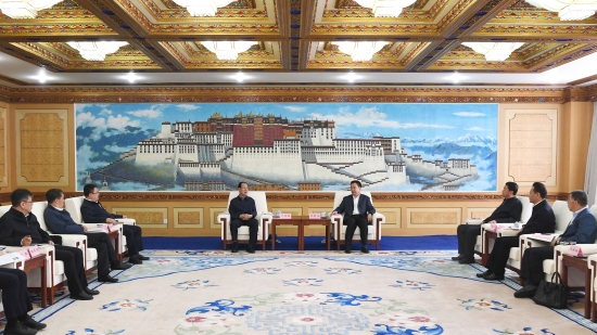 中國電建黨委書記、董事長丁焰章拜會(huì)西藏自治區(qū)黨委書記王君正、自治區(qū)主席嚴(yán)金海
