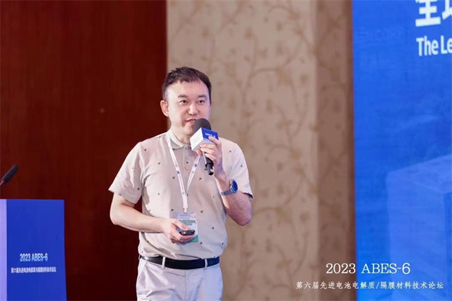 加快實現能源自主，比克鈉電電池展現顯著性能優(yōu)勢