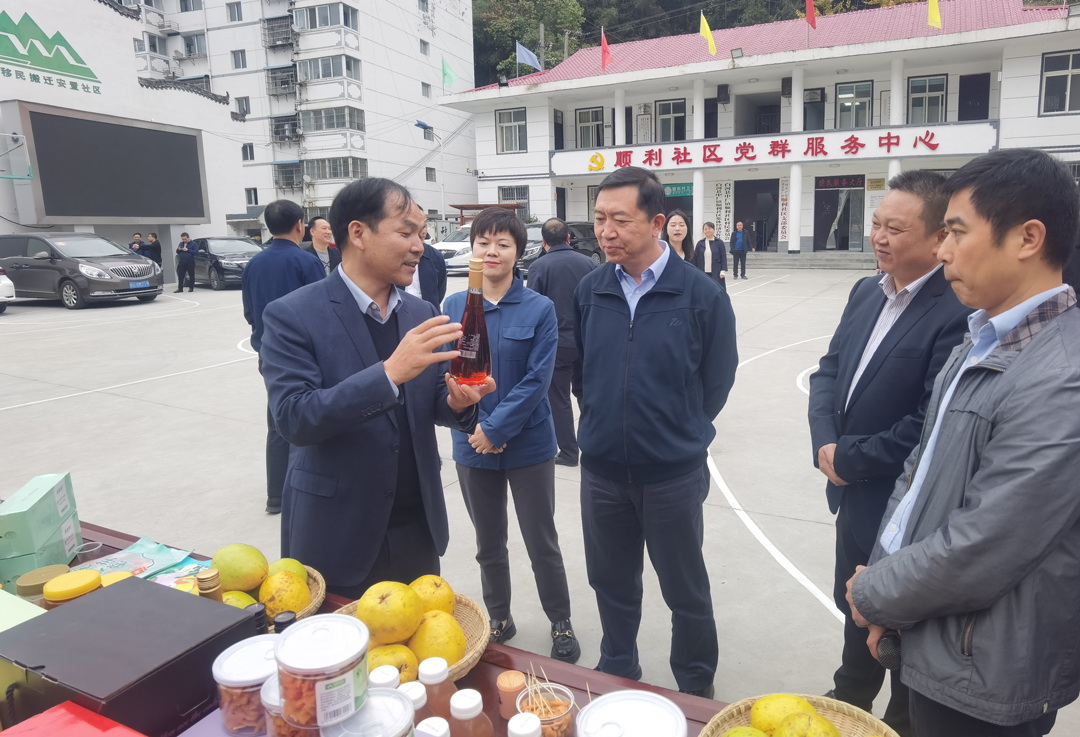 中核集團總經(jīng)理、黨組副書記顧軍赴陜西白河、旬陽調研鄉(xiāng)村振興工作