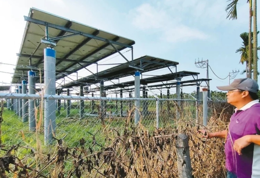 臺媒：農(nóng)田“種電”讓農(nóng)民苦不堪言，島內面臨農(nóng)電兩失困境