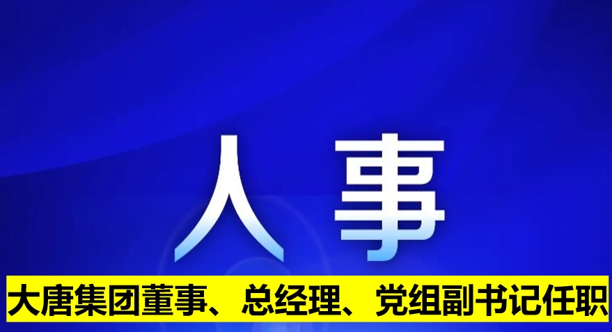 大唐集團董事、總經(jīng)理、黨組副書記任職